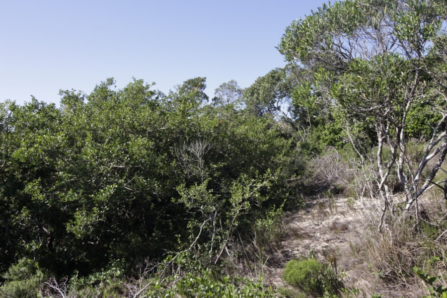 Commercial Property for Sale in Paradise Beach Eastern Cape